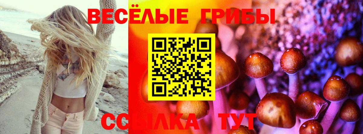 Геленджик  Галлюциногенные грибы мухоморы  Вход с VPN 